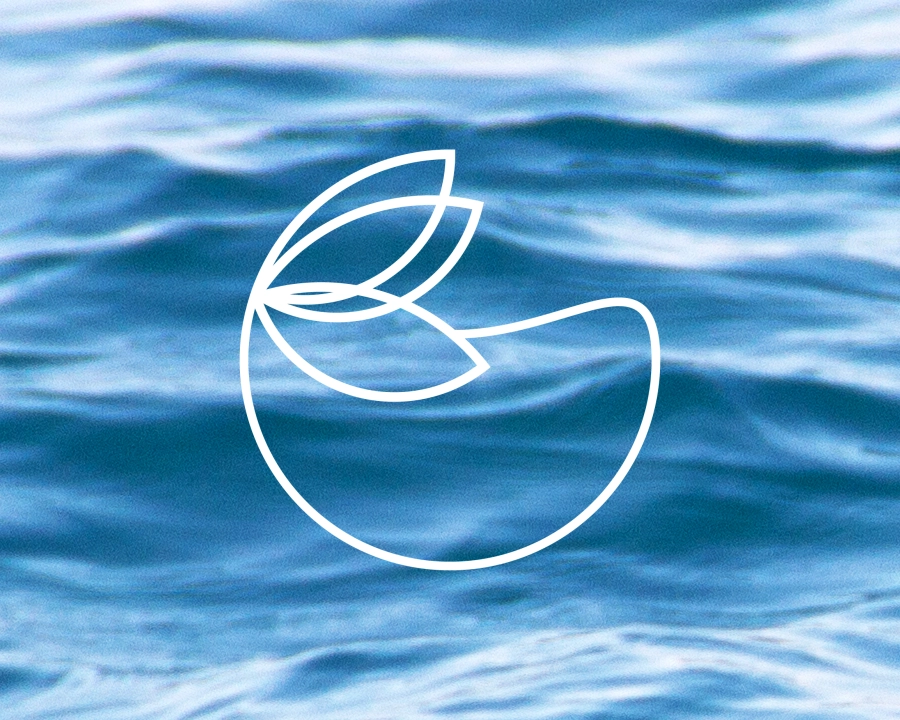 Proyecto de identidad visual para la Cátedra participativa de cambio climático y sostenibilidad.